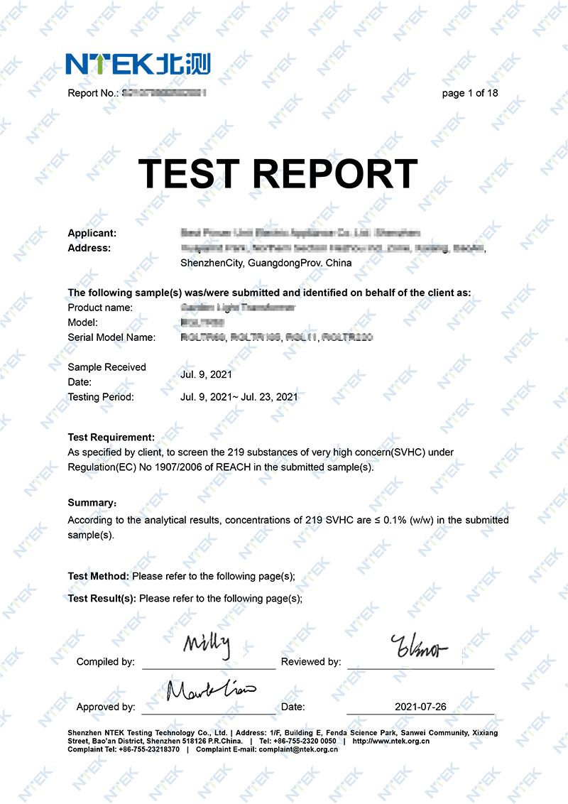 REACH報告